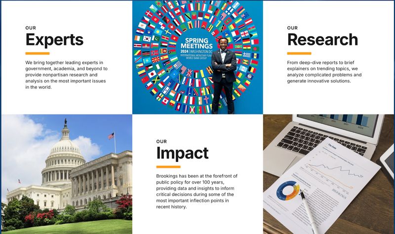 Brookings, a nonprofit organization content strategy example.