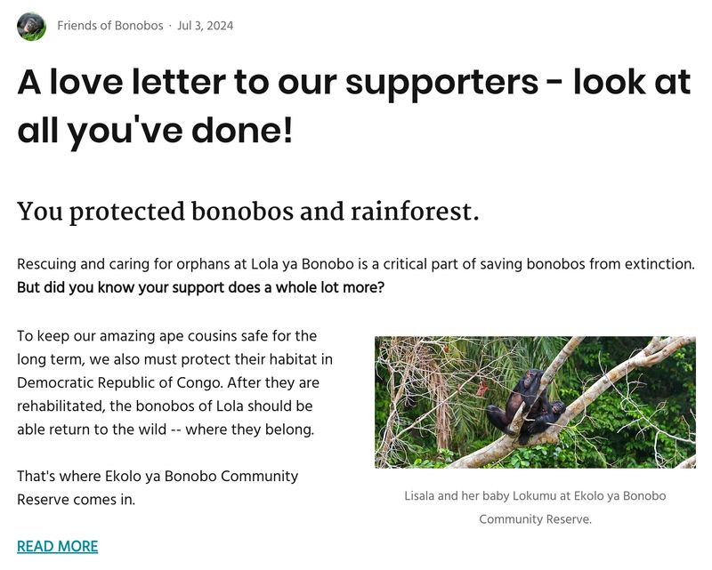 screenshot of a letter to supporters from the nonprofit Friends of Bonobos