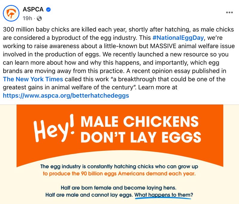 Facebook post about National Egg Day from animal welfare nonprofit ASPCA 