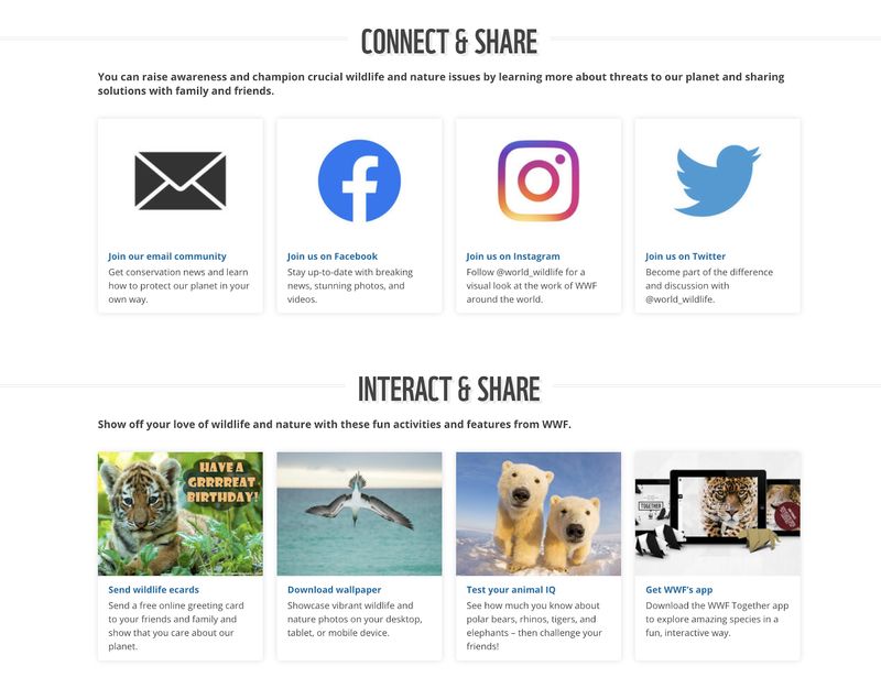 Nonprofit website social media integration example