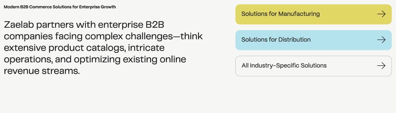 screenshot of B2B company Zaelab's homepage linking to solutions for manufacturing and distribution